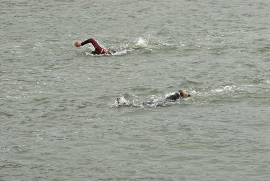 TRAVERSEE 2008