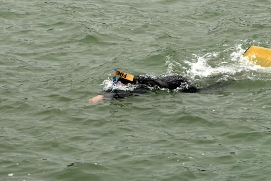 TRAVERSEE 2008