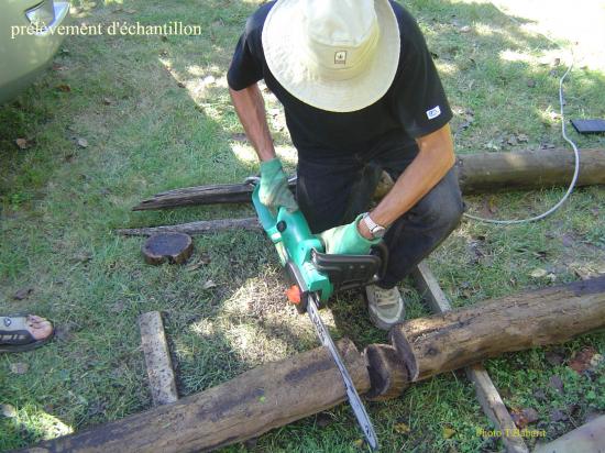 ARCHEOLOGIE