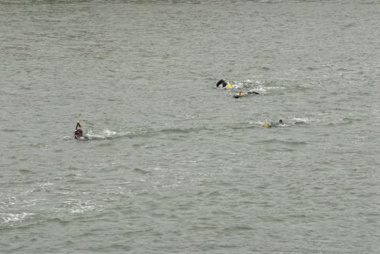 TRAVERSEE 2008