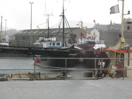 SCAPA FLOW 2008