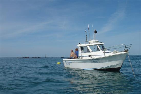 BARGEOURI 2011