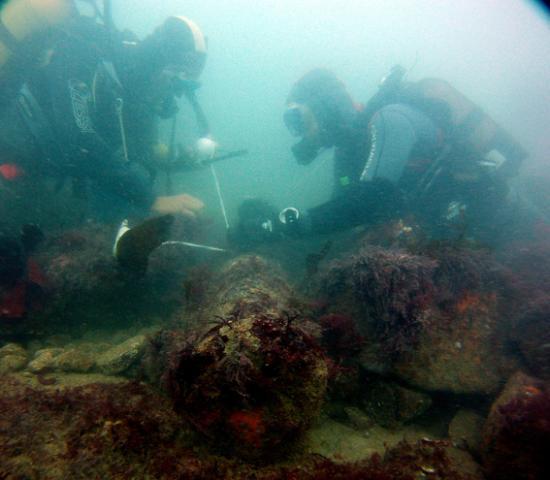BARGEOURI 2011